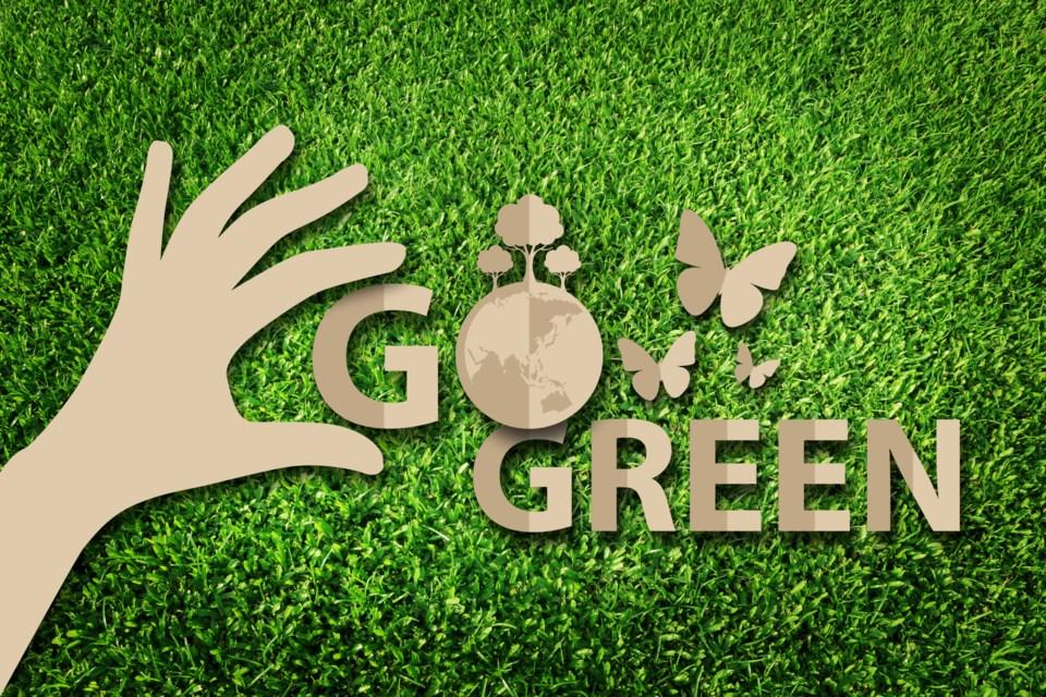 Doanh nghiệp xanh (Green Business) và các bước để trở thành doanh nghiệp xanh?