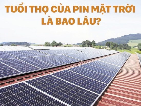 tuổi thọ tấm pin năng lượng mặt trời