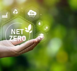 Net Zero là gì? Các giải pháp cho mục tiêu Net Zero