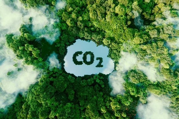 thị trường carbon và hạn ngạch phát thải khí nhà kính