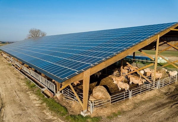 ưu điểm của mô hình Điện mặt trời kết hợp nông nghiệp
