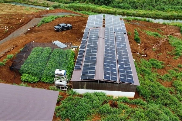 Điện mặt trời kết hợp nông nghiệp: Những ưu điểm & hạn chế