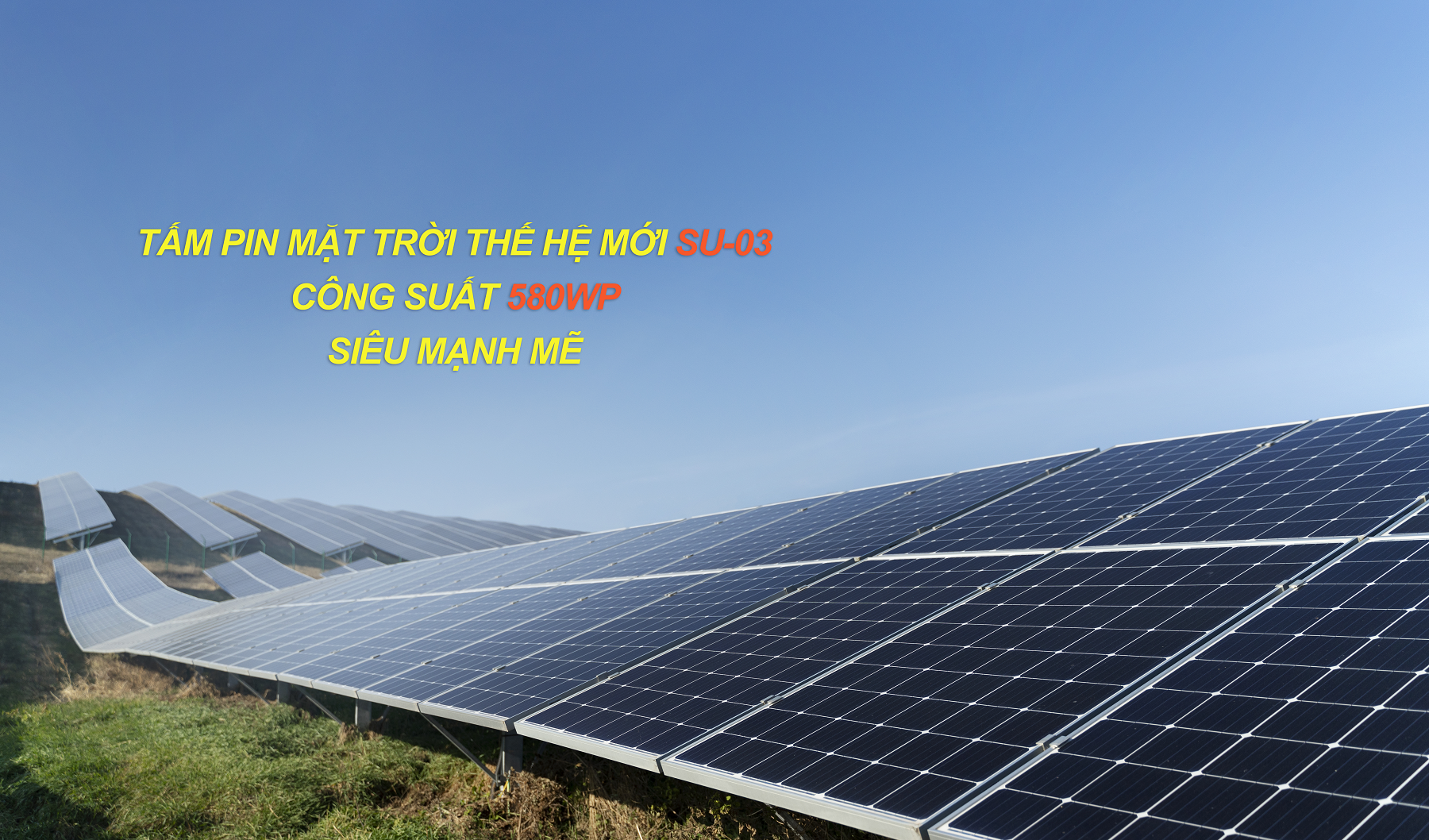 SUNEMIT