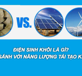 Điện sinh khối là gì? So sánh với nguồn năng lượng tái tạo khác