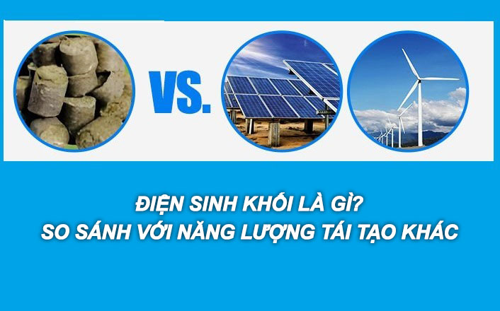 Điện sinh khối là gì? So sánh với nguồn năng lượng tái tạo khác