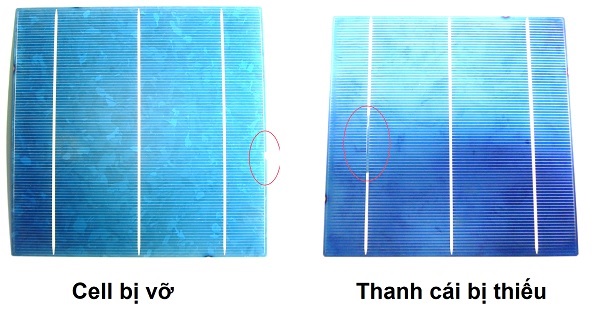 Cell pin mặt trời loại C