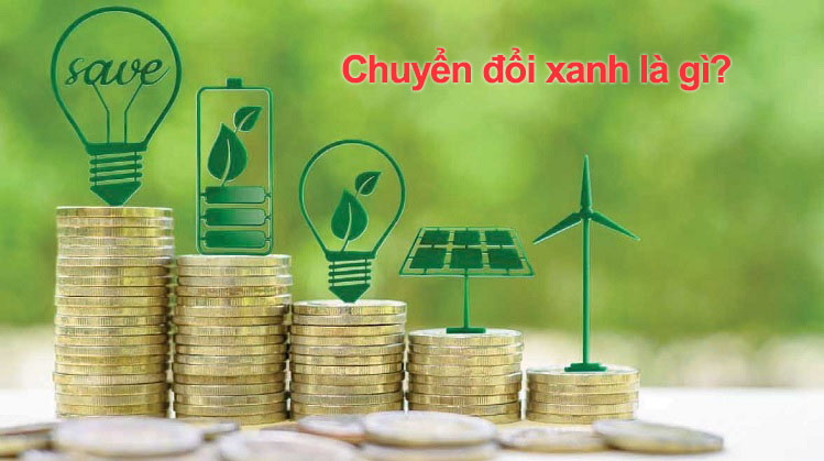 Chuyển đổi xanh là gì? Xu hướng chuyển đổi xanh và phát triển bền vững